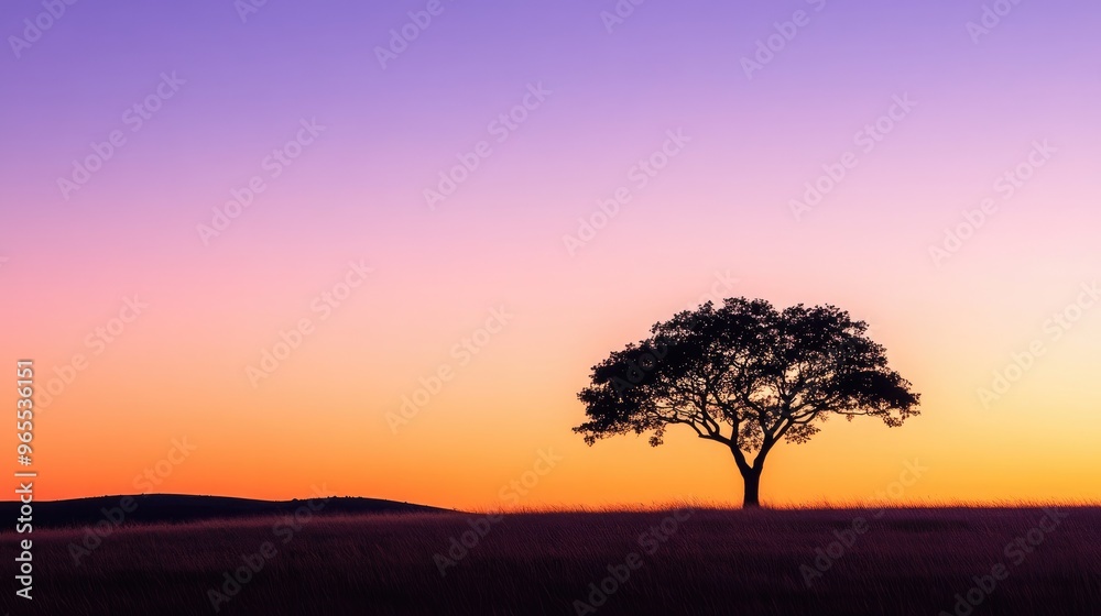 Obraz premium A silhouette of a tree at dawn, with soft purple and orange hues in the sky, representing tranquility and nature's early morning beauty