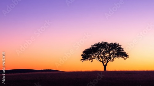 A silhouette of a tree at dawn, with soft purple and orange hues in the sky, representing tranquility and nature's early morning beauty