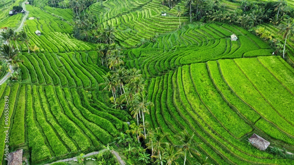drone view drone view
