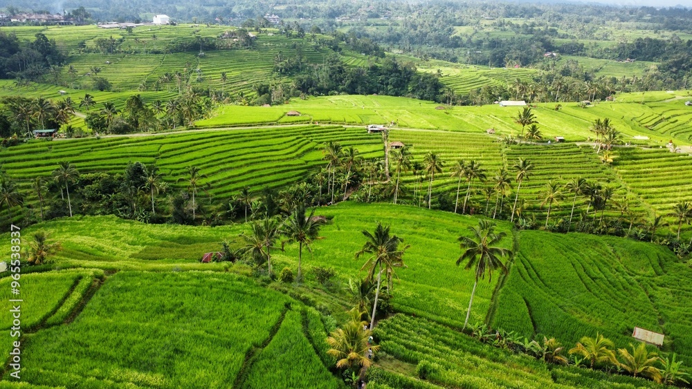 drone view drone view
