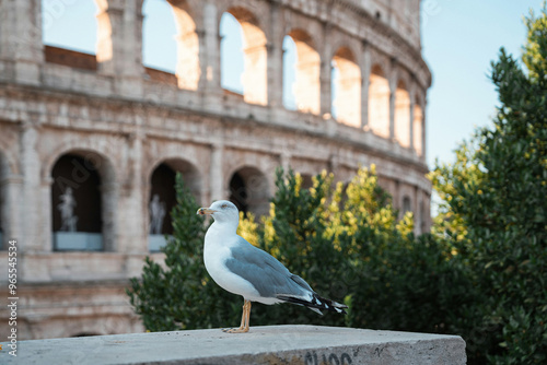 Travel Images adventure romans Birds Images