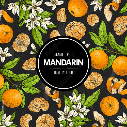 Mandarin or tangerine hand drawn background. Organic citrus plant drawing with whole mandarin, slices, halves and branch. Natural botanical graphic illustration. Template for food product label