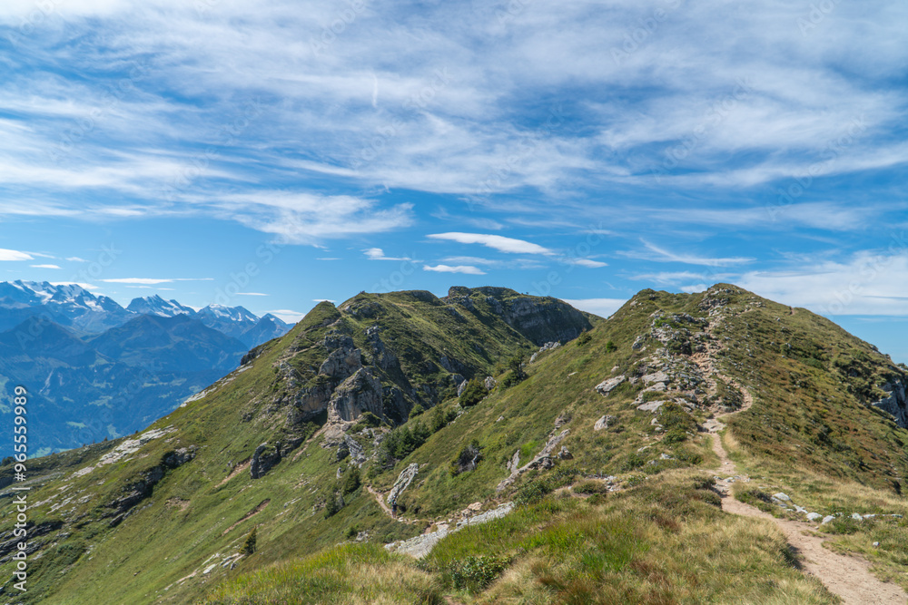 Fototapeta premium Panoramic View from a swiss mountain ridge