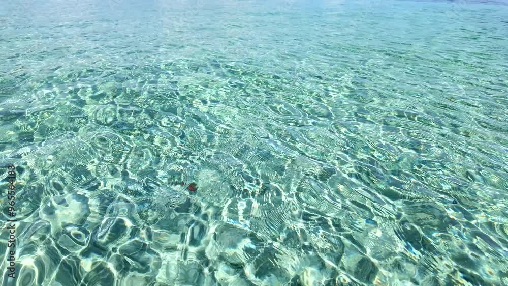 Shallow, Transparent Waters with Sunlight Reflections near the Shoreline of Marinella Beach, Corsica. Shallow, Transparent Waters with Sunlight Reflections near the Shoreline of Marinella Beach, Corsica.