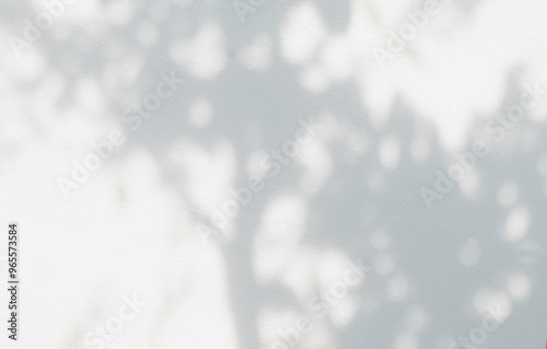 Tree shadow and leaf branch background. Nature leaves tropical jungle tree branch dark shadow and light from sunlight on white wall texture for background wallpaper and design, shadow overlay effect