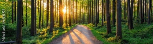 Radiant golden hour sunbeams illuminating a quiet forest path, nature's glowtime, peaceful and inspiring landscape