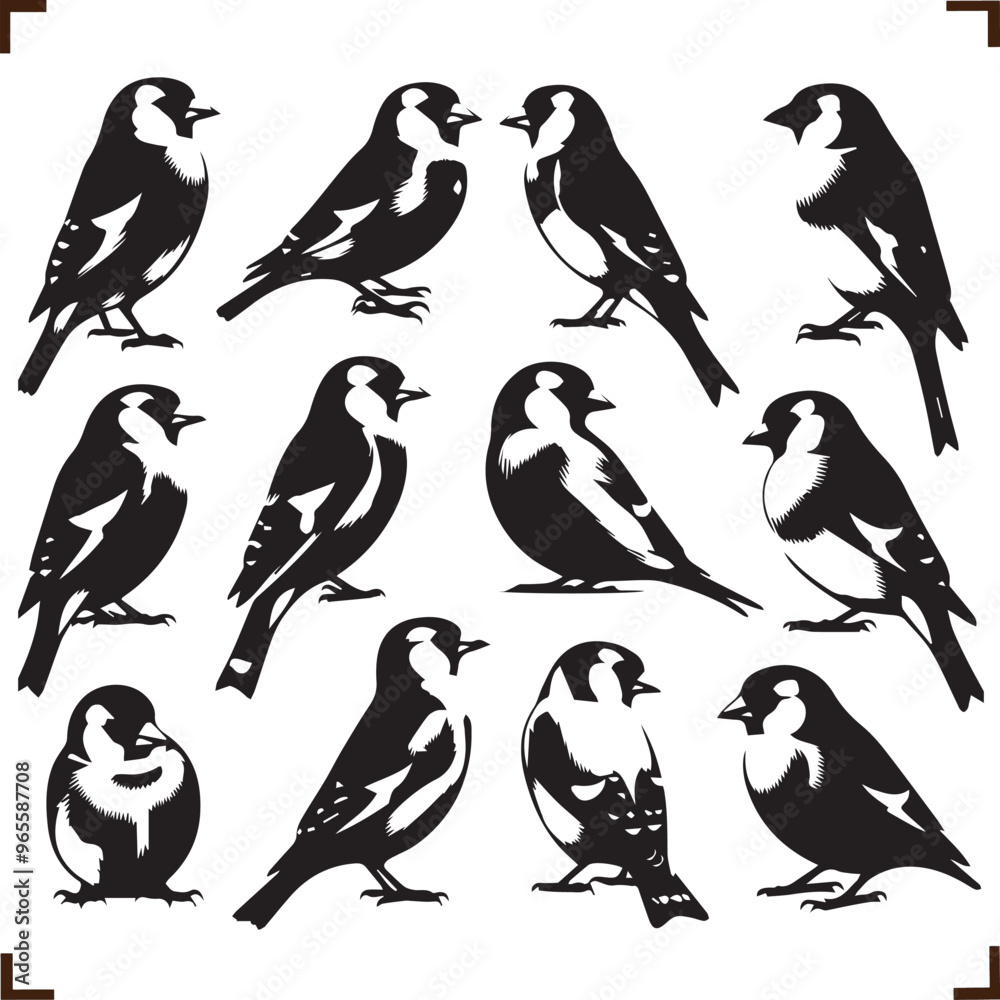 Obraz premium Bird Versatile Black Silhouette Vector Series