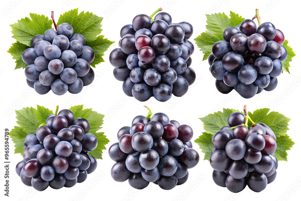 Clusters of black grapes isolated on a transparent background PNG Clusters of black grapes isolated on a transparent background PNG
