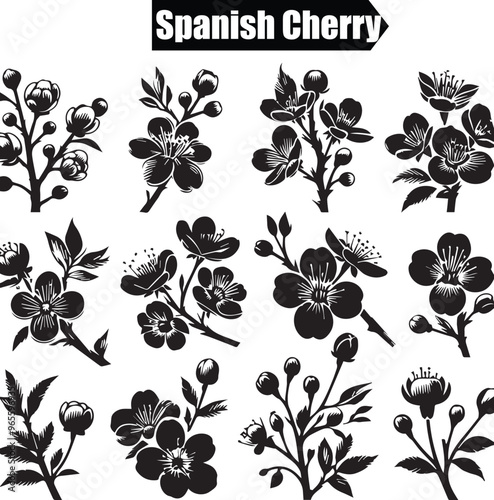Spanish Cherry Dark Silhouette Shapes Vector Set