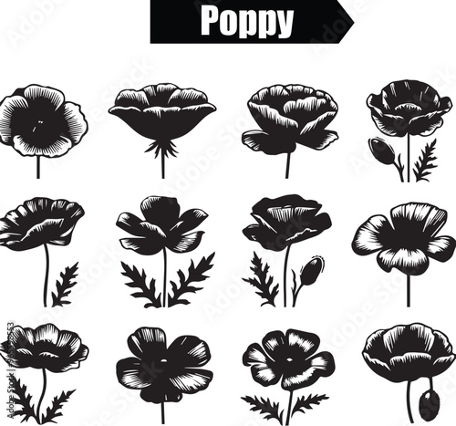 Poppy Artistic Silhouette Elements in Black