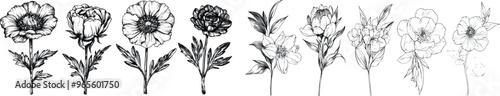 Hand drawn embellishment for wedding invitations, save-the-date cards, boutonnieres, and bouquets.