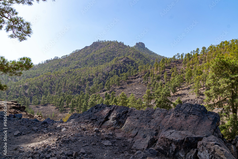 de senderismo por los bosques y las montañas de senderismo por los bosques y las montañas