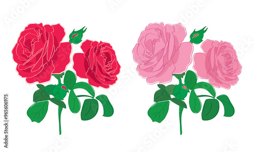 red and rosy roses. Vector set of beautiful blooming flowers.