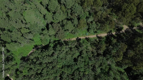 Wallpaper Mural sendero Torontodigital.ca