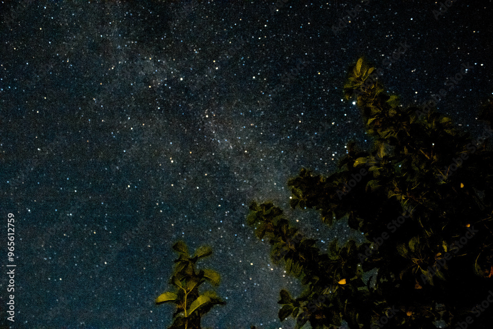 starry night sky starry night sky