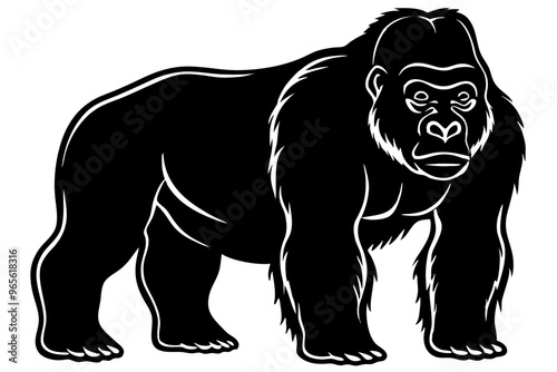 gorilla vector illustration and white background