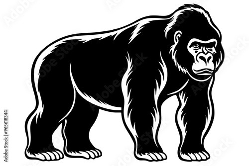 gorilla vector illustration and white background