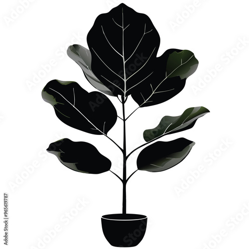 a Fiddle-Leaf Fig Plant-,vector illustration, Black color silhouette white background 
