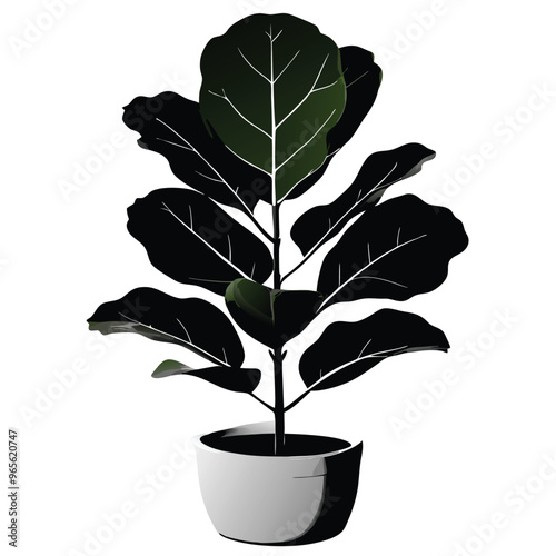 a Fiddle-Leaf Fig Plant-,vector illustration, Black color silhouette white background 