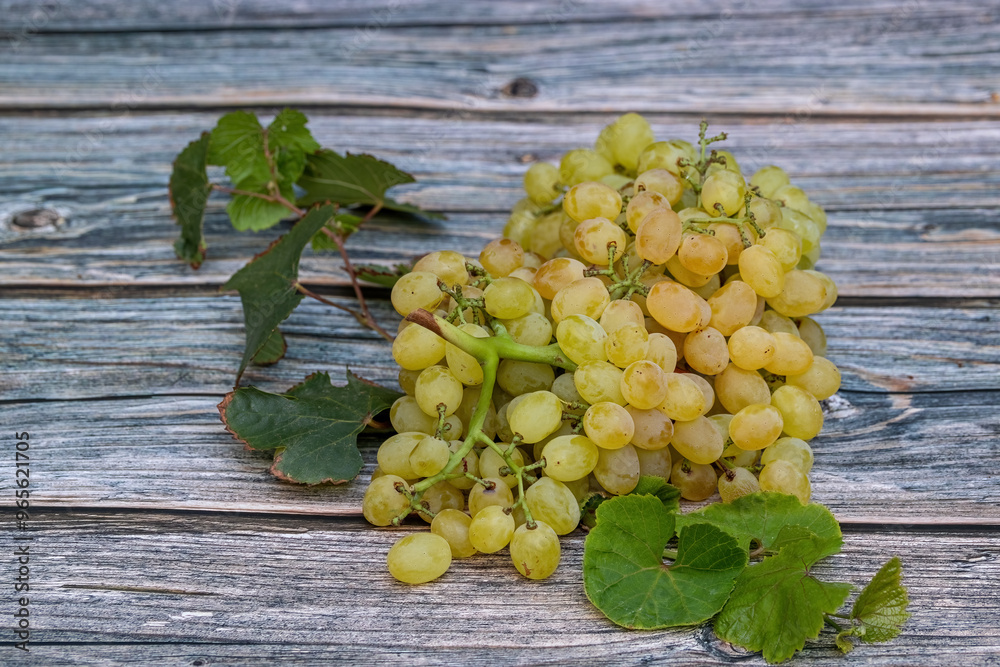 Yellow seedless grapes on wooden table.