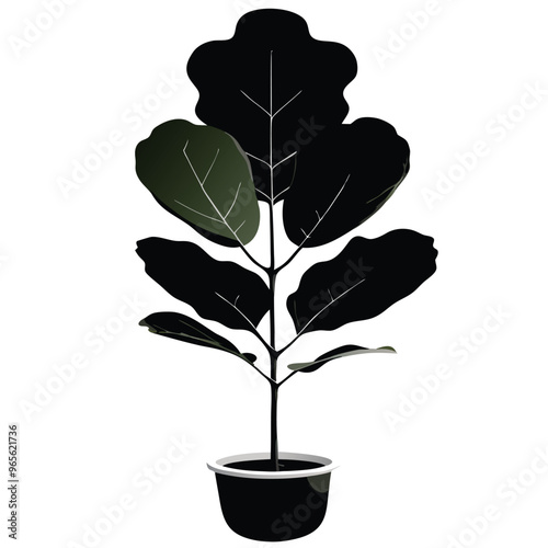 a Fiddle-Leaf Fig Plant-,vector illustration, Black color silhouette white background 