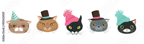 Funny Cat Muzzle and Snout with Whiskers Vector Set