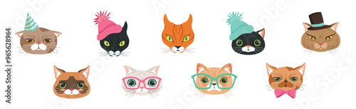 Funny Cat Muzzle and Snout with Whiskers Vector Set