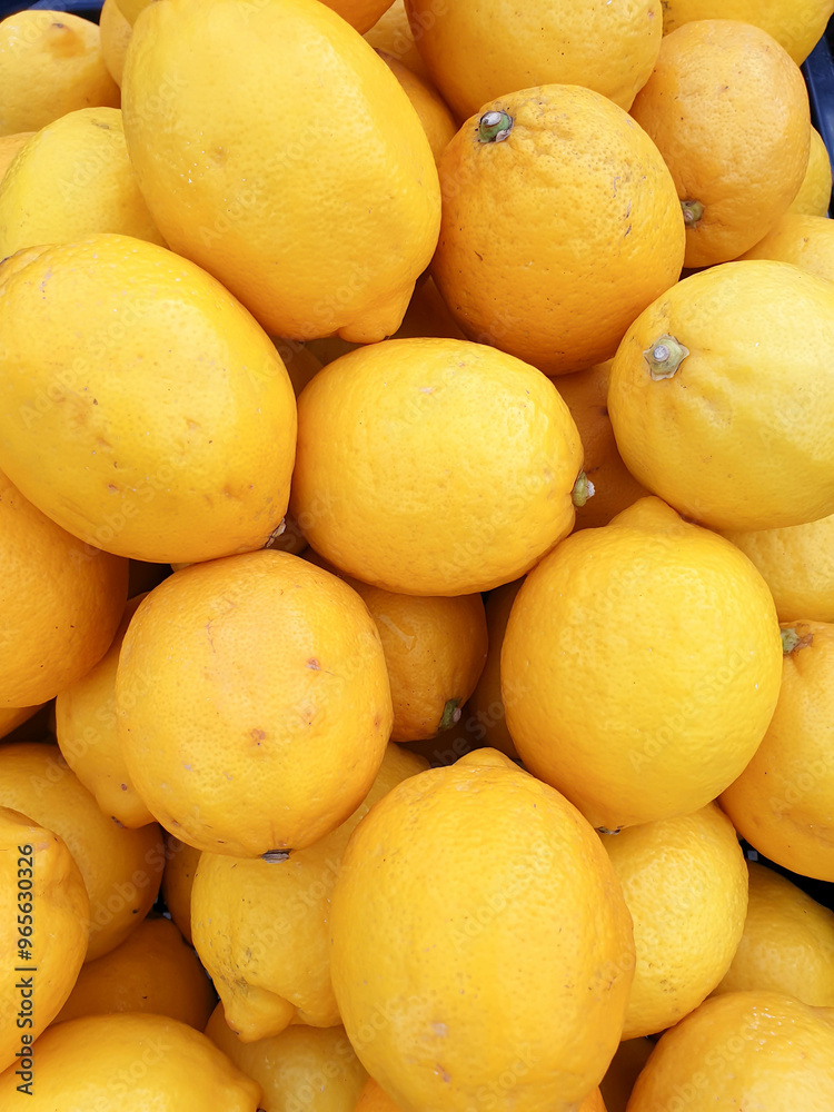 Lemon stack in the supermarket basket Lemon stack in the supermarket basket