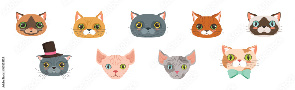 Funny Cat Muzzle and Snout with Whiskers Vector Set Funny Cat Muzzle and Snout with Whiskers Vector Set