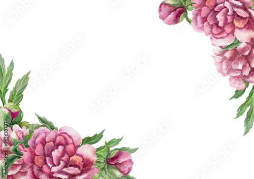 Floral frame with lush burgundy peonies in the corners. Hand drawn watercolor illustration isolated on white. For birthday greeting cards, mothers day, wedding invitations, labels.