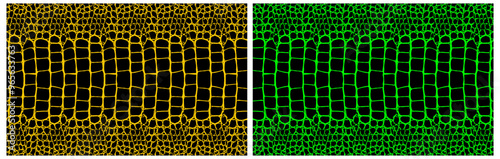 Crocodile skin black Seamless vector pattern isolated on white background.