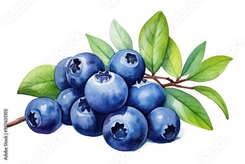 Plakat Blueberry fruit plant food.
