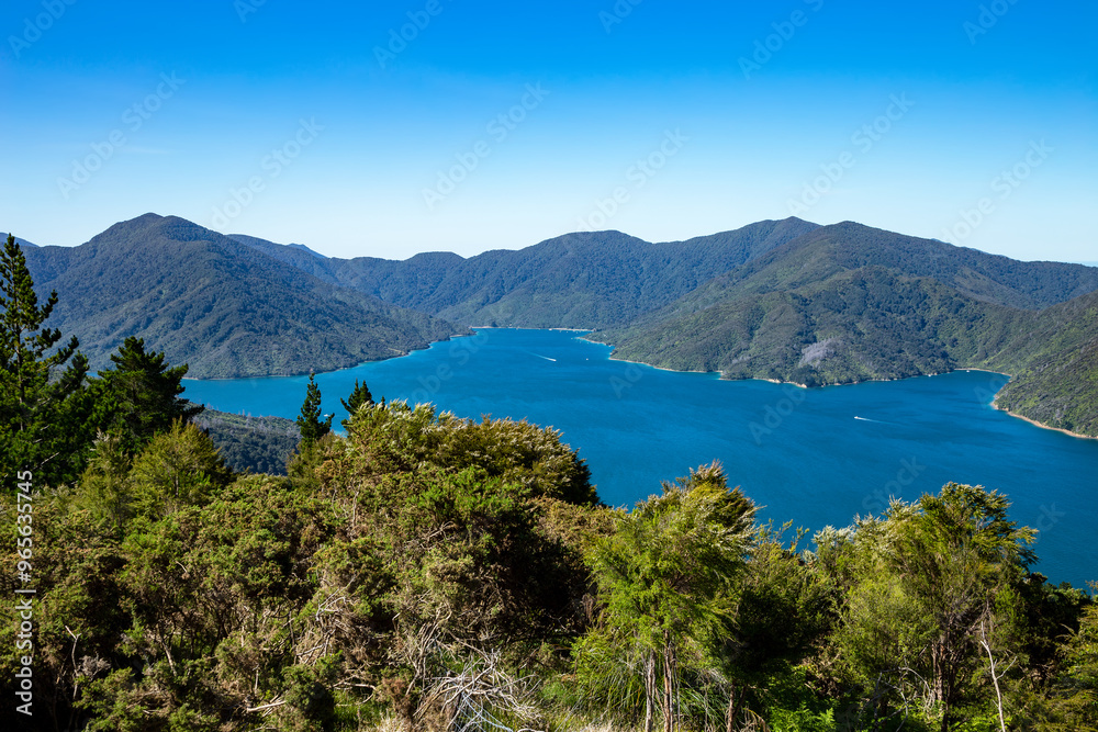Fototapeta premium Endeavour Inlet, Tawa Bay, Marlborough Sounds, South Island, New Zealand, Oceania.