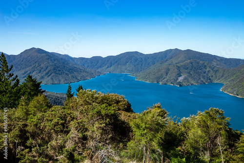 Endeavour Inlet, Tawa Bay, Marlborough Sounds, South Island, New Zealand, Oceania.