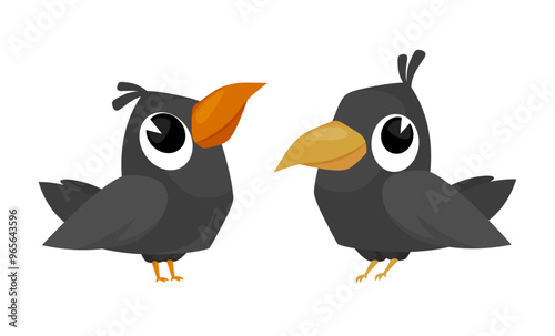 Two vector little crows with big cute eyes. Funny raven icons. Different poses set. Jackdaw sign. Cartoon style common urban bird. Art element for children's card design, advertising layout. Farm pest