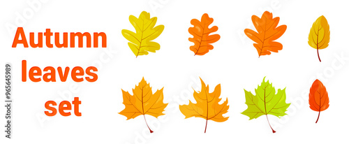 Autumn leaves set. Set of autumn leaves. Autumn leaves template for design.