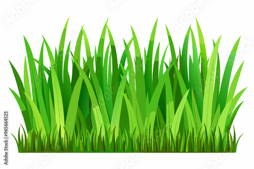 Green grass field on small hills with blue sky