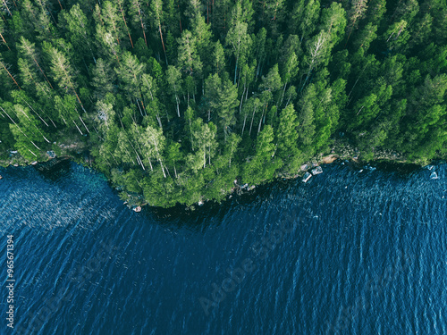 Aerial drone view of blue water lake and green summer woods in Finland.