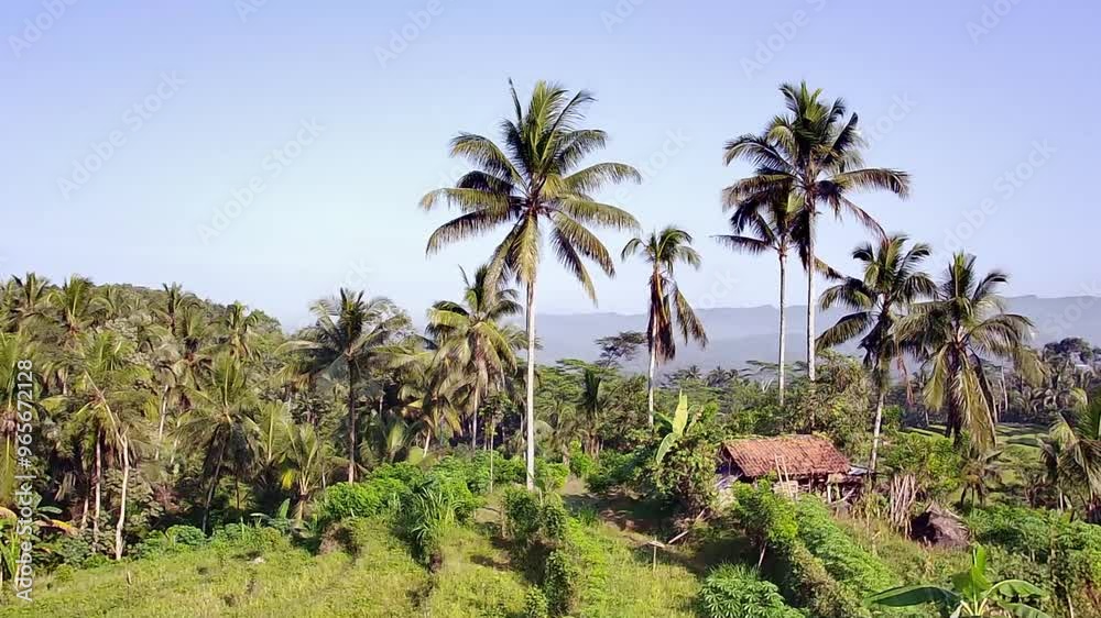 Aerial landscape using drones, residential atmosphere in the village with drones Aerial landscape using drones, residential atmosphere in the village with drones