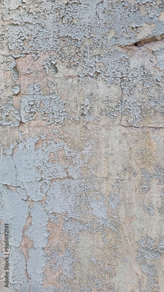 Peeling paint on an old wall. Grunge background for design.Selective focus Peeling paint on an old wall. Grunge background for design.Selective focus