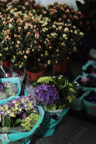 
a flower shop, a warehouse where plants are sold