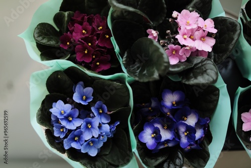 
a flower shop, a warehouse where plants are sold