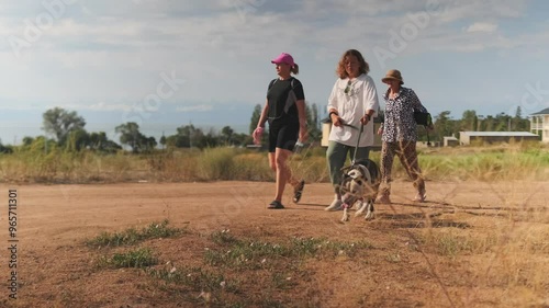Active pensioners walk with their pet pitbull on a leash in a suburban area among green fields in warm sunny weather. Wide shot.
