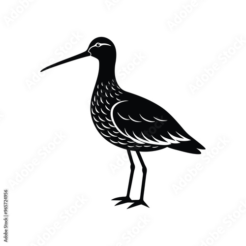 Sleek Snipe Bird Silhouette:. Graceful Vector Illustration of the Dowitcher Bird