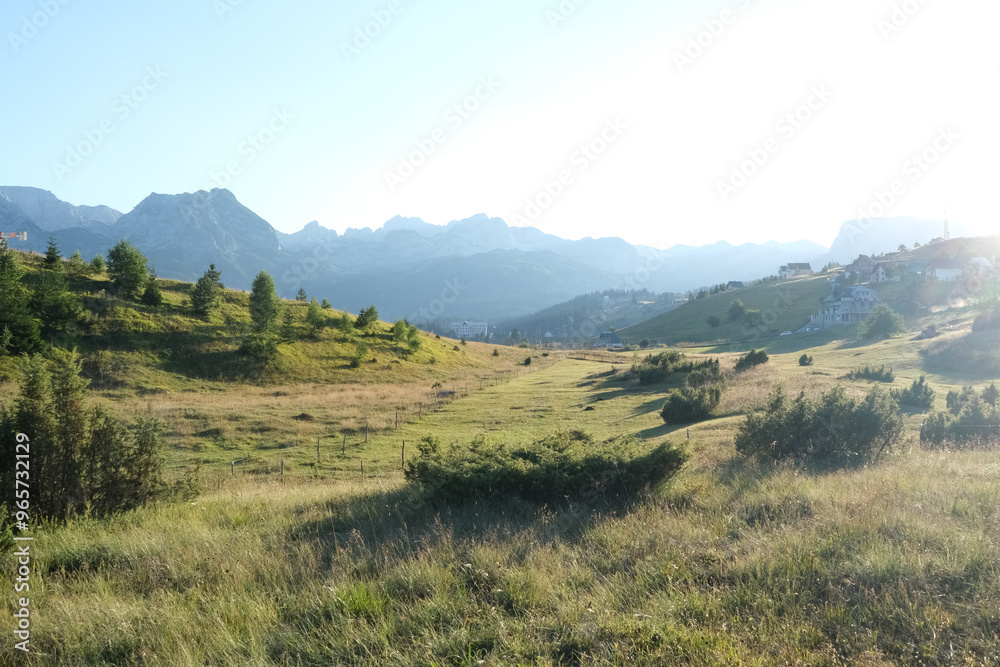 Fototapeta premium Meadow in the moutains