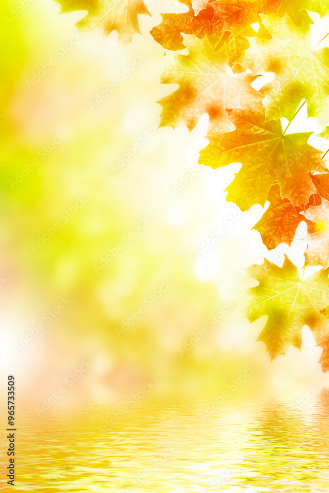 Fototapeta premium autumn landscape with bright colorful foliage. Indian summer.