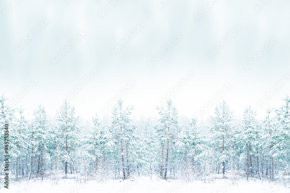 Blizzard and snowfall. Landscape. Frozen winter forest with snow covered trees. Blizzard and snowfall. Landscape. Frozen winter forest with snow covered trees.