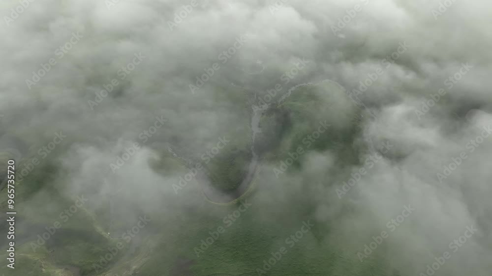 mist over a Farming landscape with beautiful cows and cattle grazing on pasture at dswk in the australian outback over hills in spring on a farm, with a crop growing food mist over a Farming landscape with beautiful cows and cattle grazing on pasture at dswk in the australian outback over hills in spring on a farm, with a crop growing food