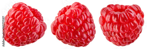 Raspberry isolated png. One raspberry on transparent background. PNG format. Red raspberries collection with no background. Full depth of field.
