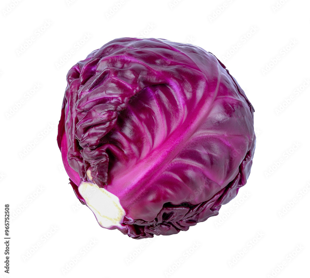 red cabbage transparent png red cabbage transparent png